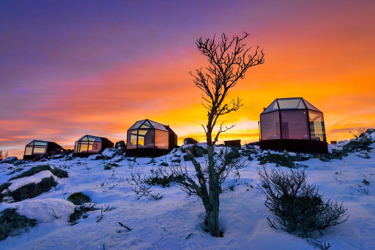 Kalle'S Inn Glass Houses Soderudden Exteriör bild